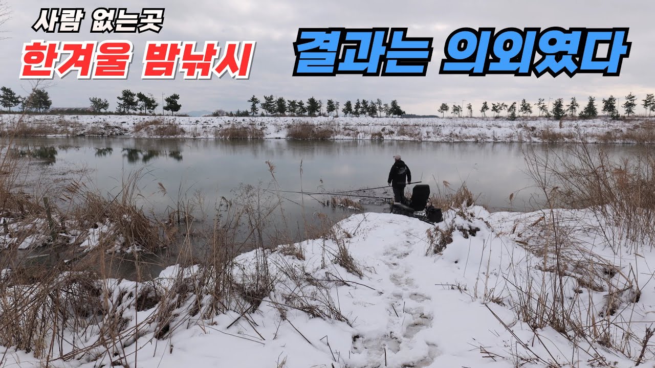 사람은 없고, 붕어만 노는 밤