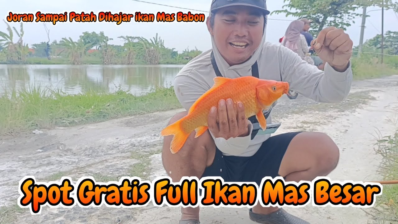 Rejeki Nomplok.. Nemu spot mancing dipenuhi Ikan Mas dan Ikan Nila Besar-besar