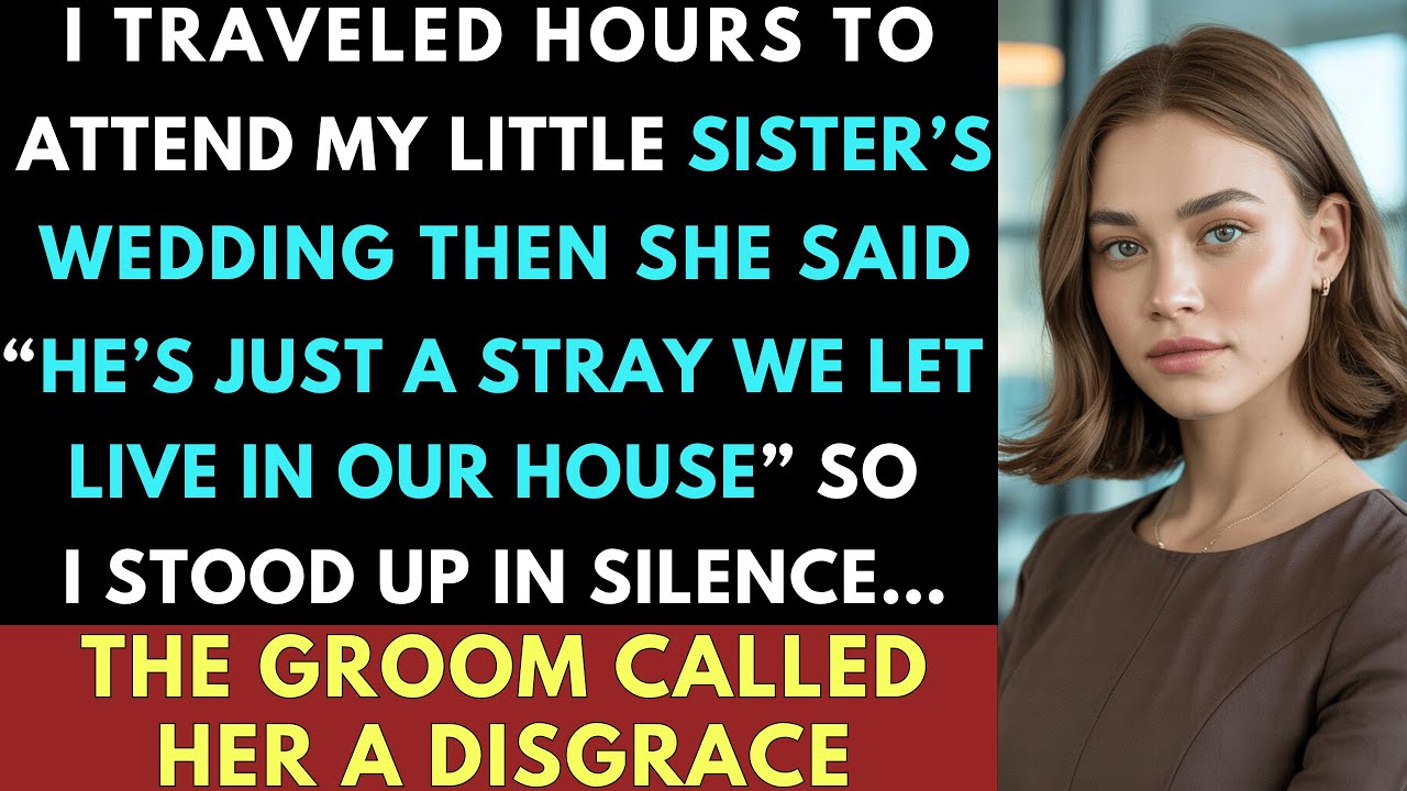 I Was Insulted By My Own Little Sister Who Said “He’s Just A Stray We Let Live In Our House” When...