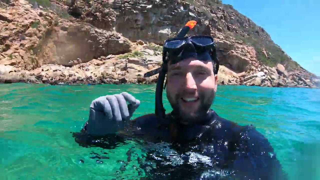 14. Fóka úszás, GoPro 