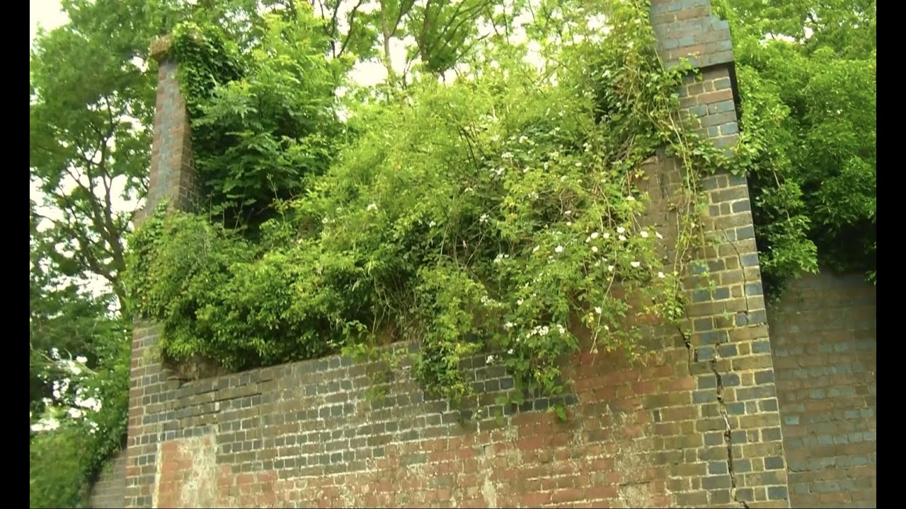 GREAT ROLLRIGHT STATION HALT.