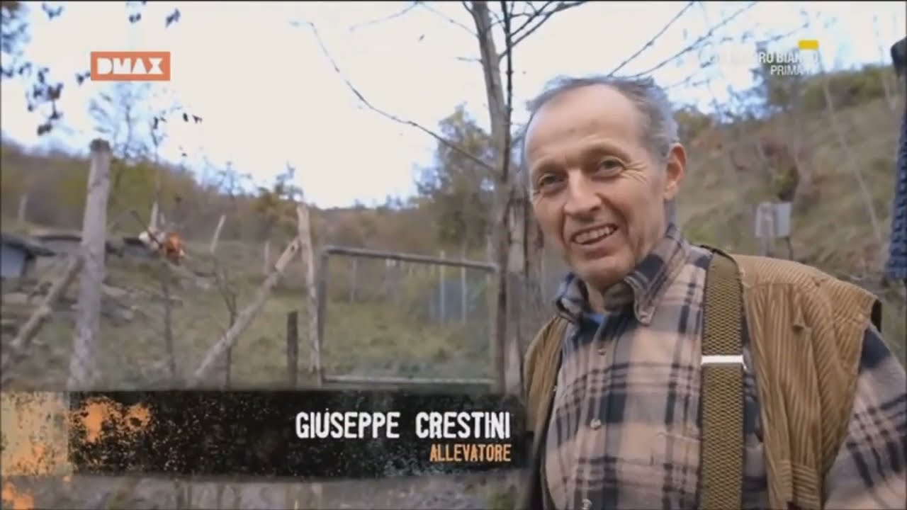 Caccia all'oro bianco - Giuseppe Crestini &reg;