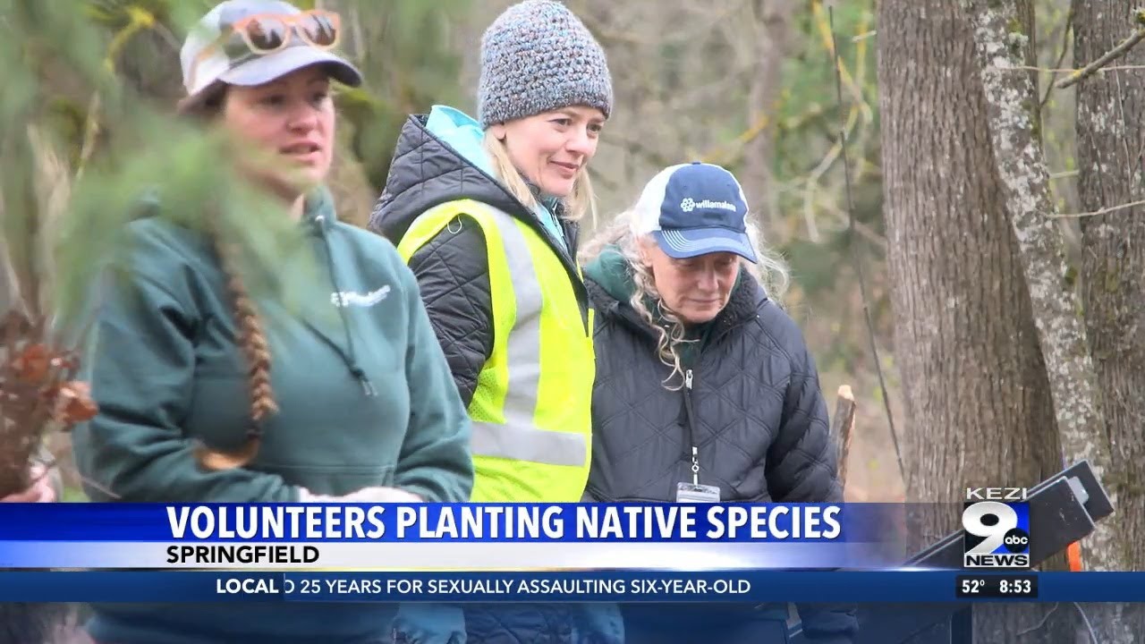 Lane County Youth help restore Willamette Riverbank with native plants in Springfield