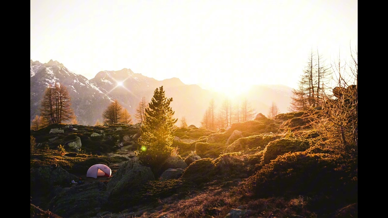 Lofi Chill da Natureza 🍃 Som Calmo para Relaxar 