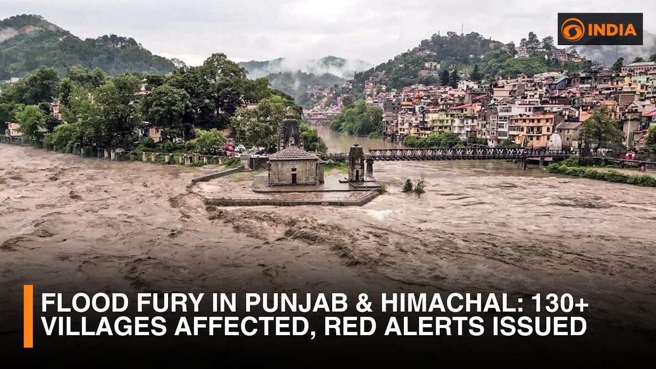 Flood Fury in Punjab & Himachal: 130+ Villages Affected, Red Alerts Issued | DD India