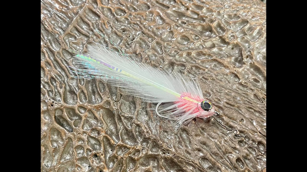 Albie wh**e Fly SBS