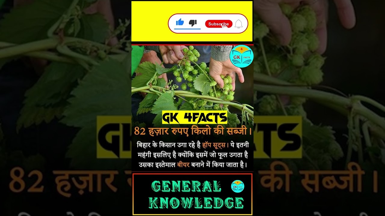 what are hop shoots| hop shoots farming in bihar india | beer | होप शूट्स खेती #shorts #viral #bihar