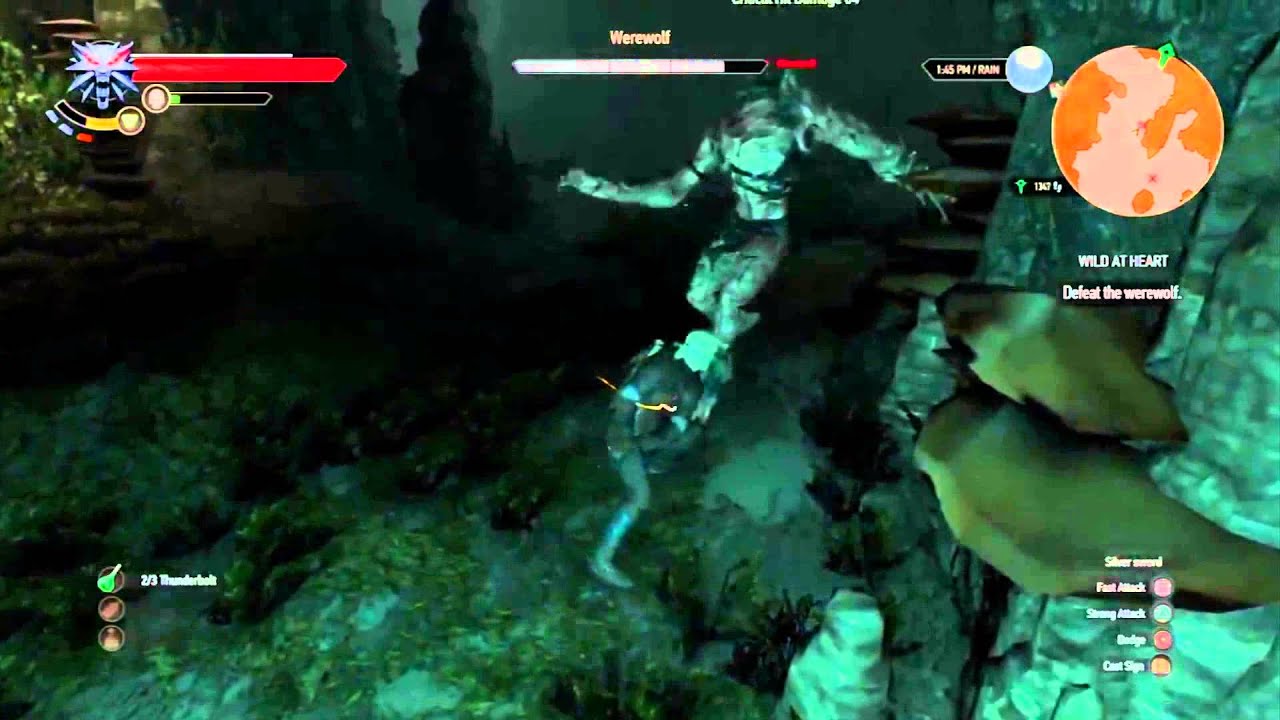 Witcher 3 Wild at Heart: beating the Werewolf tactic