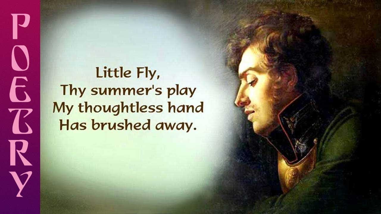William Blake's poem The Fly
