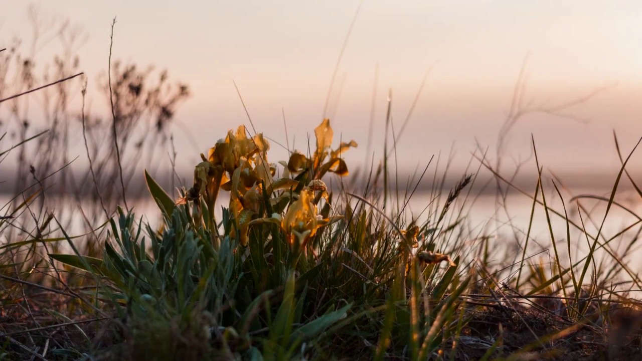 Національний природний парк 