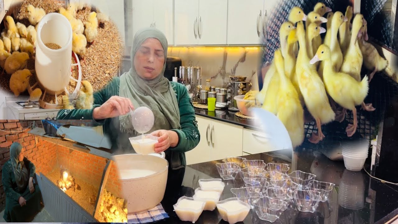 قولت استقبل السنه الجديده بايه قولت مافيش احسن من روتينات الطيور والحلو رز باللبن كل سنه وانتم طيبين