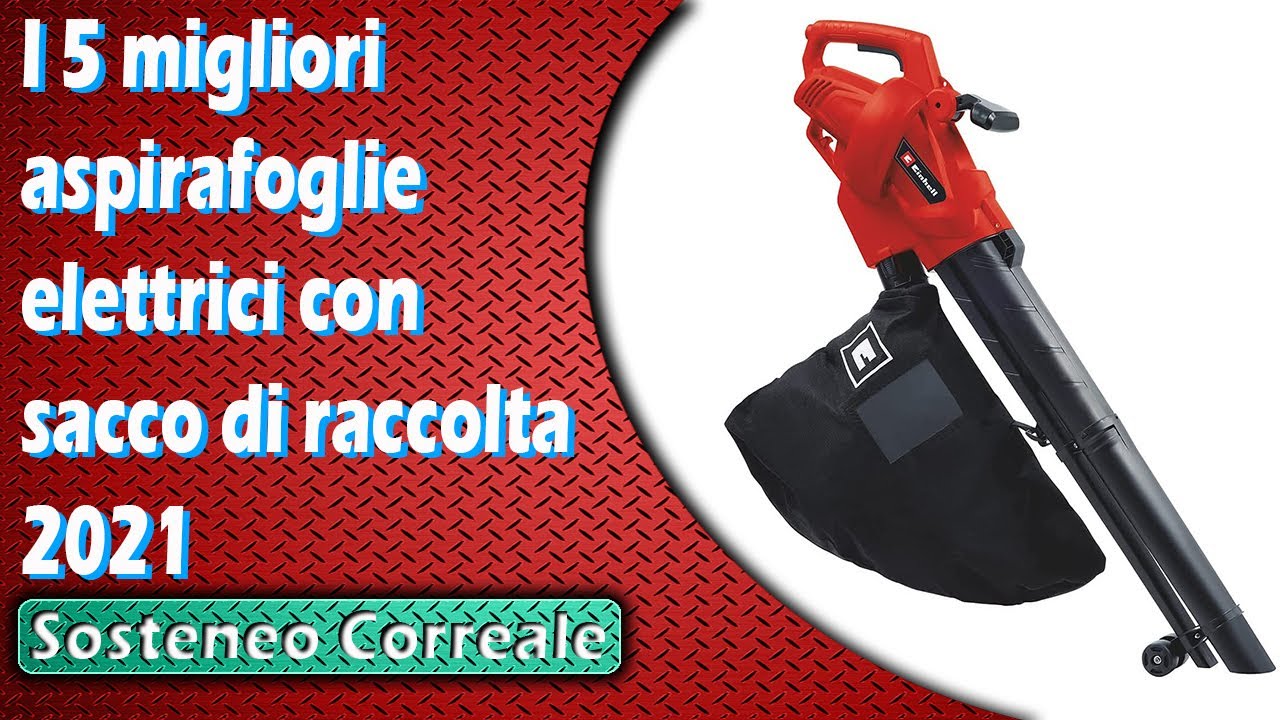 I 5 migliori aspirafoglie elettrici con sacco di raccolta 2021
