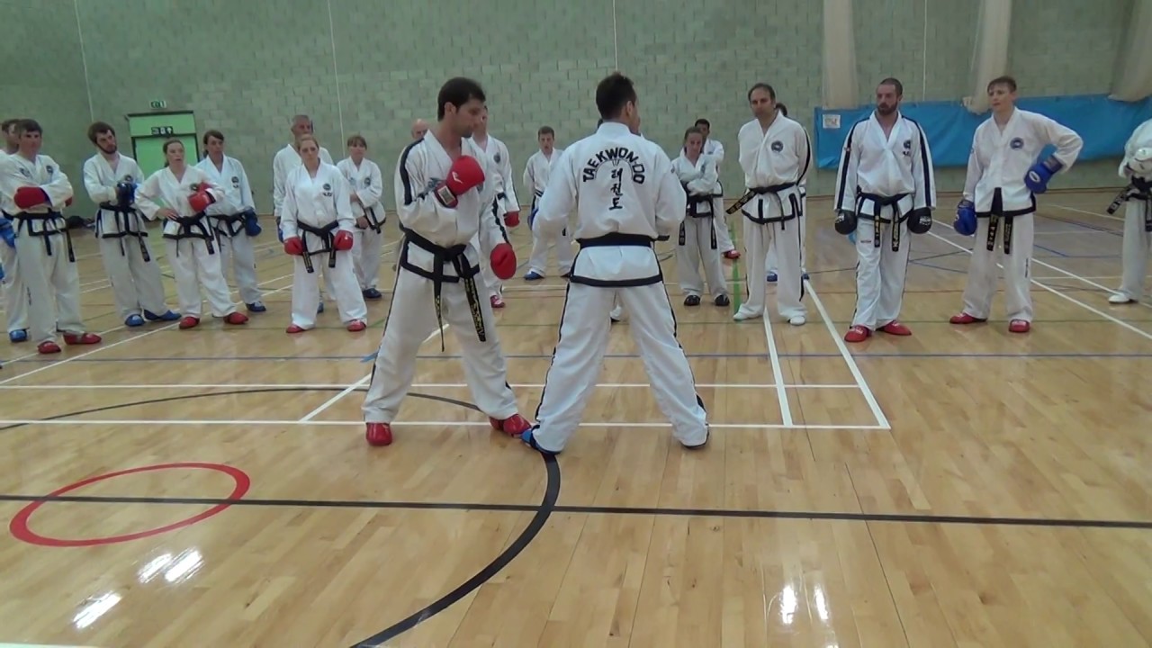 Tomasz Barada Master Willy Van de Mortel Brighton Sparring Seminar 2013