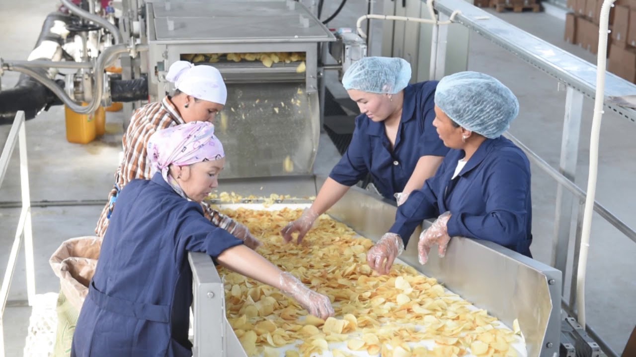 Завод «UniMaster-Agro», производство картофельных чипсов «Master Snack»