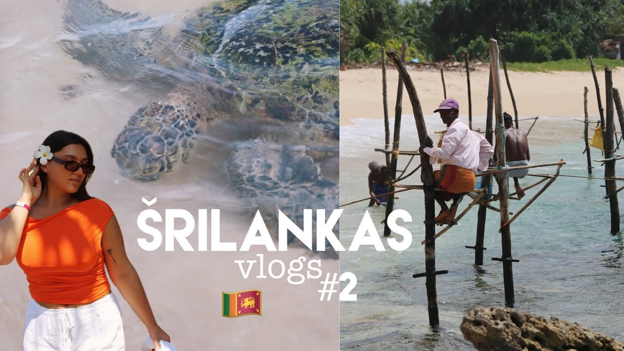 glābtie ziloņi, Šrilankas zvejnieki & nedēļa foršākajā viesnīcā