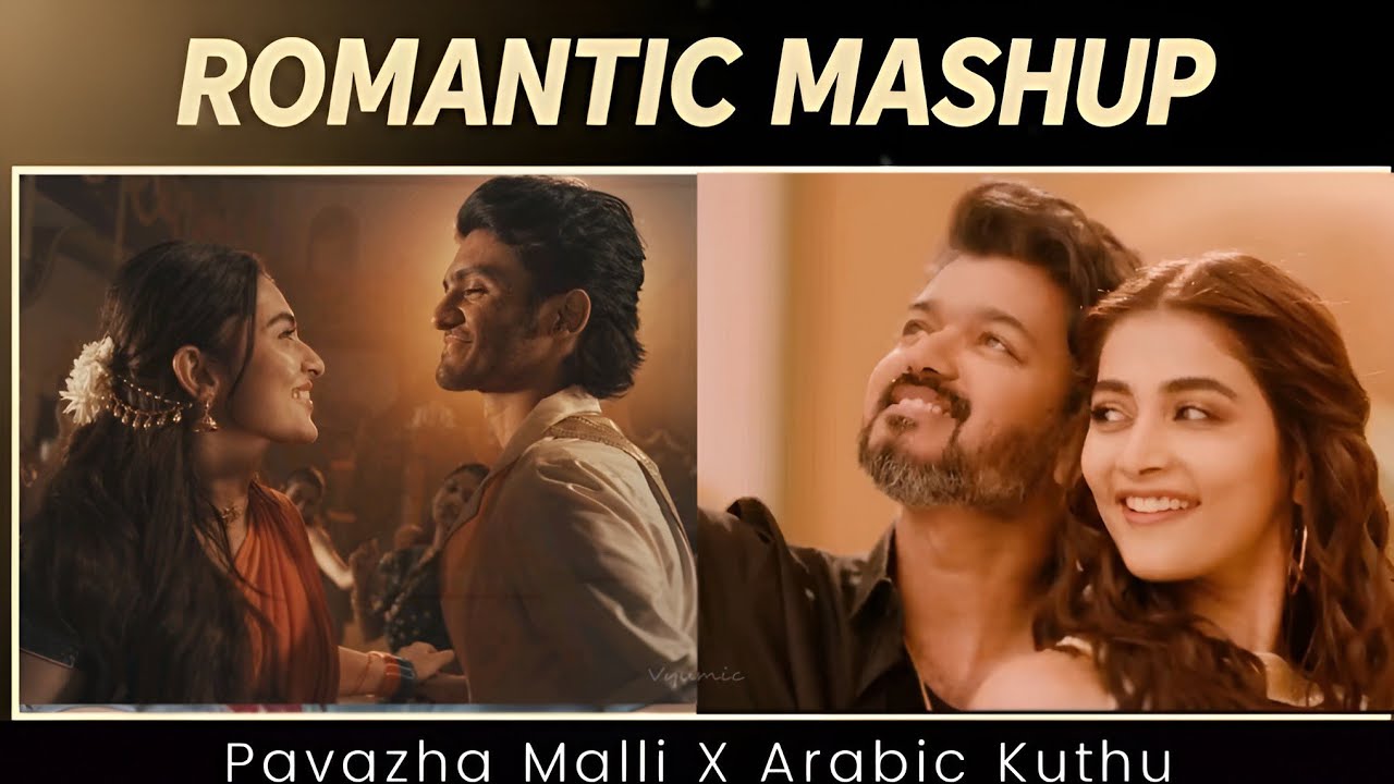 Pavazha malli x Arabic kuthu remix | Sai Abhayankar, Anirudh, Vijay | 