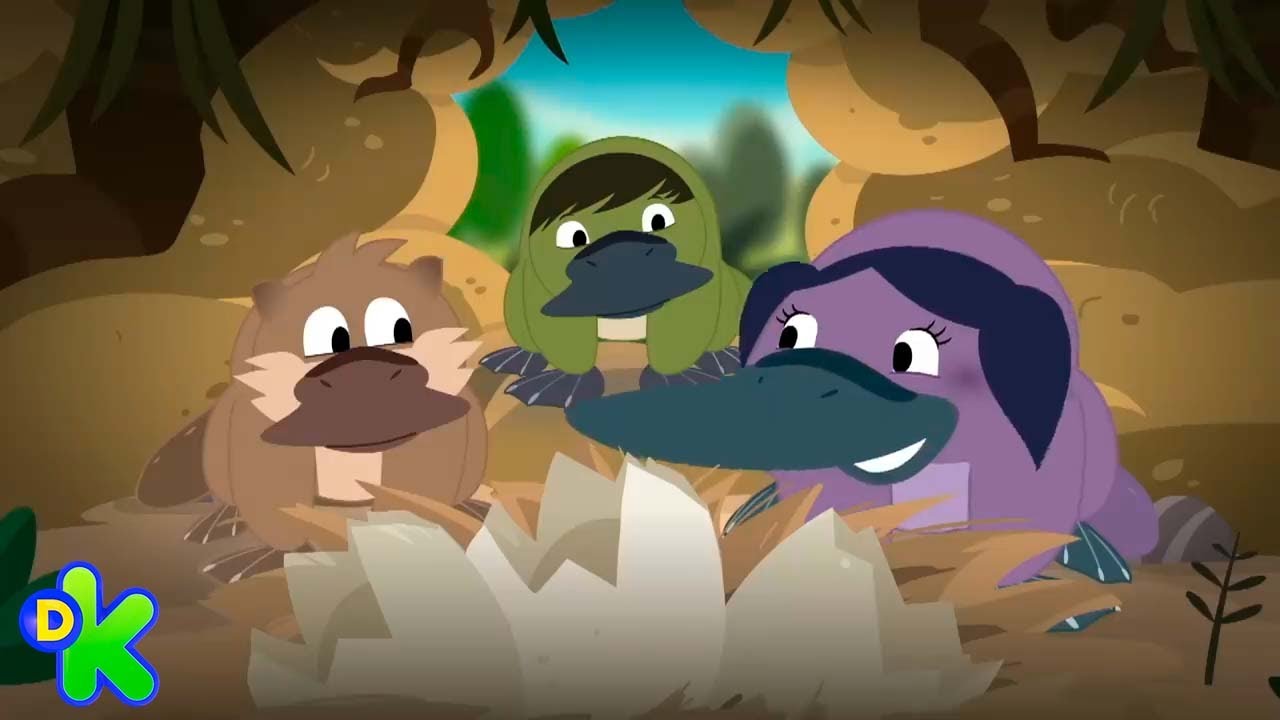¡Explorando el reino animal con Luna! | El Mundo de Luna | Discovery Kids Latinoamérica