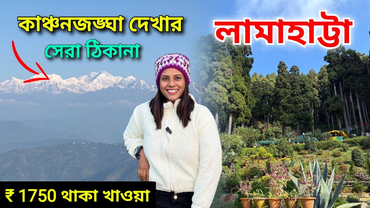 Lamahatta Tour Plan | Best Kanchanjungha View Hotel from Lamahatta | Darjeeling Lamahatta Tour