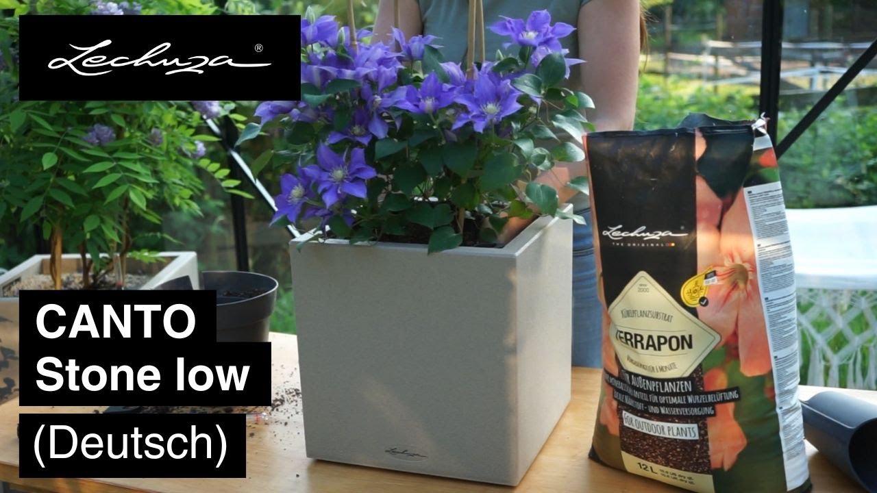 How-To: CANTO Stone low | LECHUZA | Deutsch