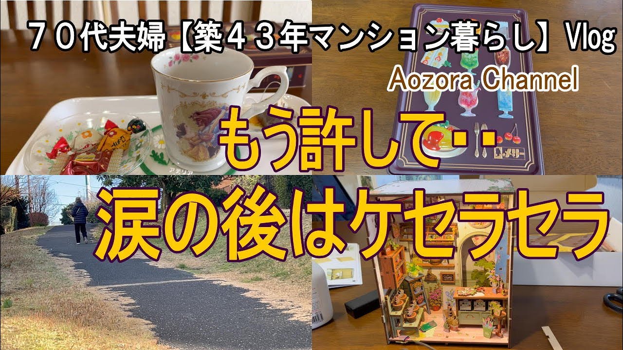 【年金生活】７７歳７２歳夫婦 日々の記録Vlog もう許して・・涙の後はケセラセラ / 一難去ってまた一難で急遽大学病院へ / 過去の自分からのなぐさめ / Japanese senior Vlog.