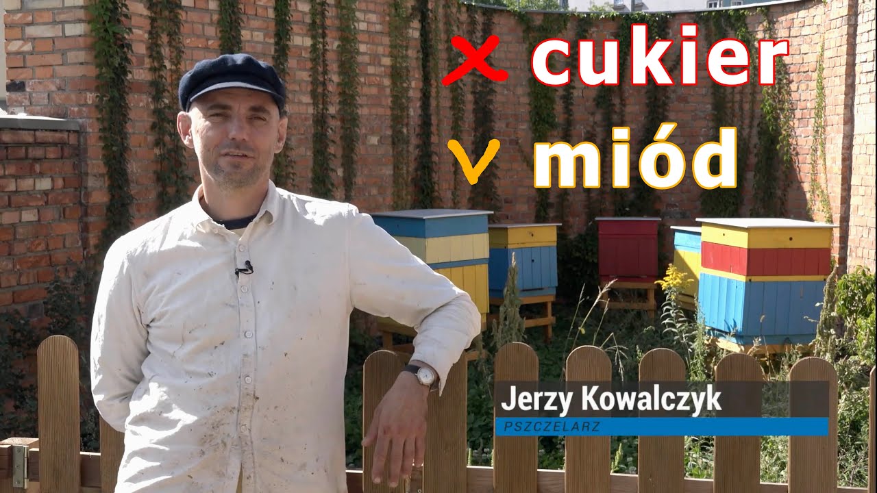 Jak poznać prawdziwy miód? | Jak powstaje miód? | Miód jest gender :) | Kobiecy miód