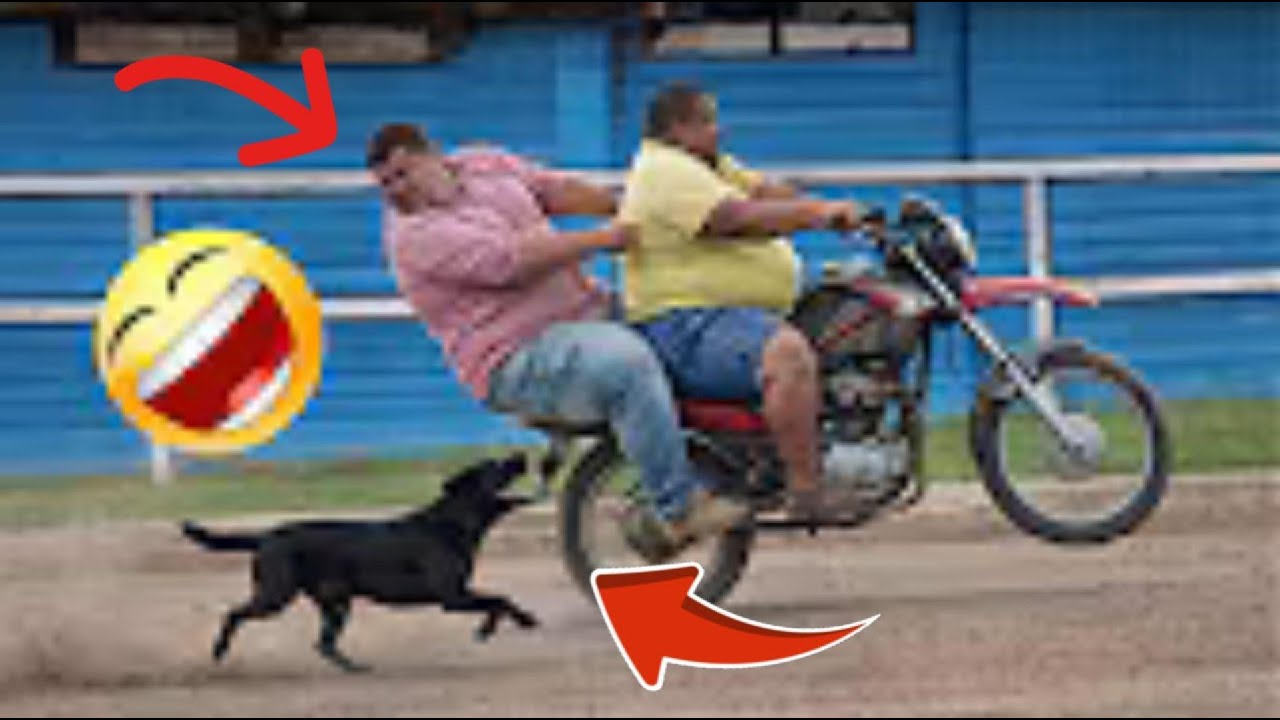 100 Funniest Moments Laughing Means Losing 2026