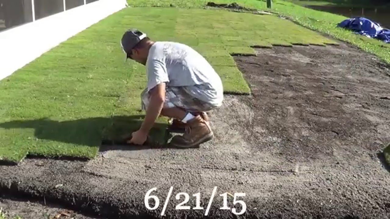 DIY Backyard Putting Green