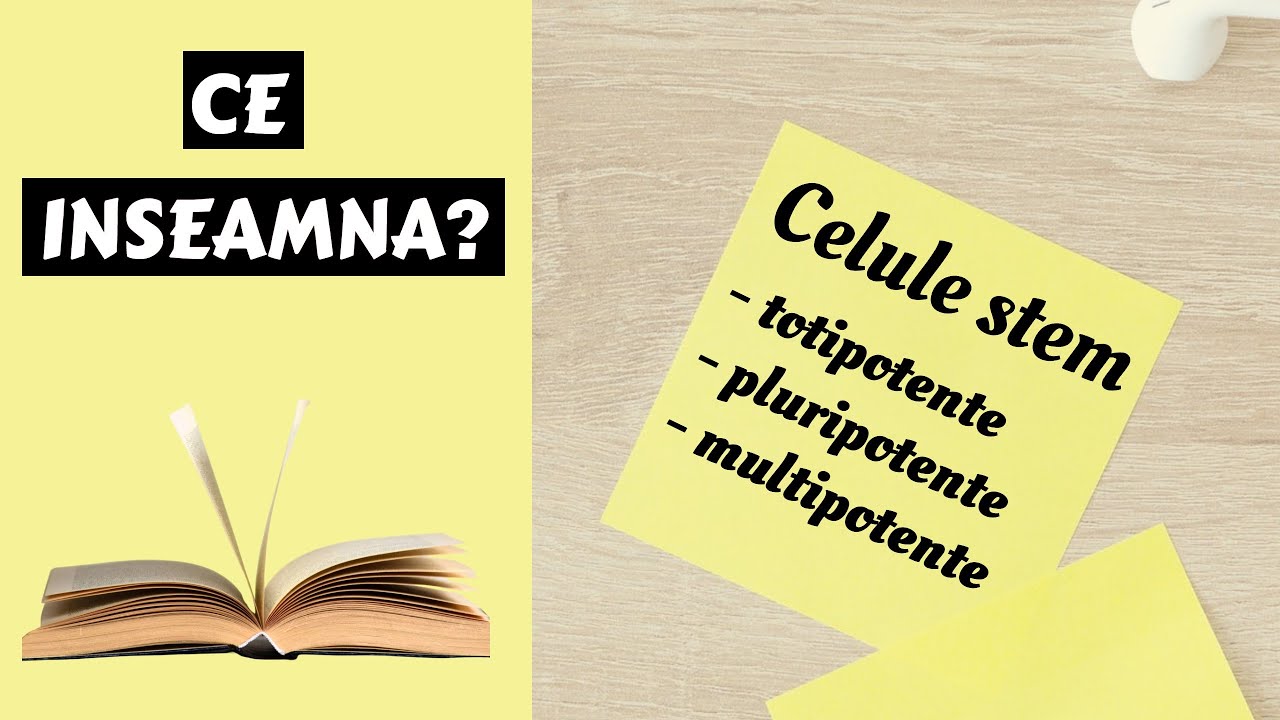 Celule stem totipotente, pluripotente, multipotente