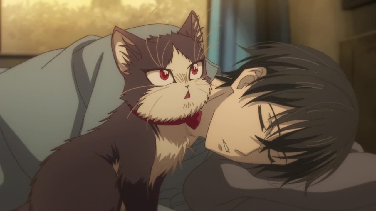 تخيل انك تقابل قطه صغيره في يوم لكنها تغيرلك حياتك كلها 😍🐱 - ملخص كامل انمي My Roommate Is Cat