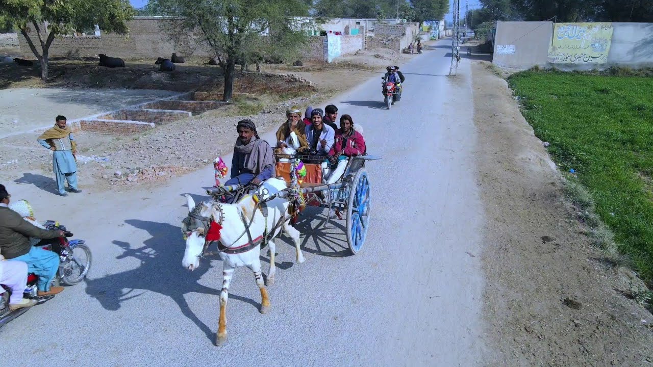 Village life of Punjab Pakistan || Desi life style of village people || Multan Vlog || ملتان گاوں