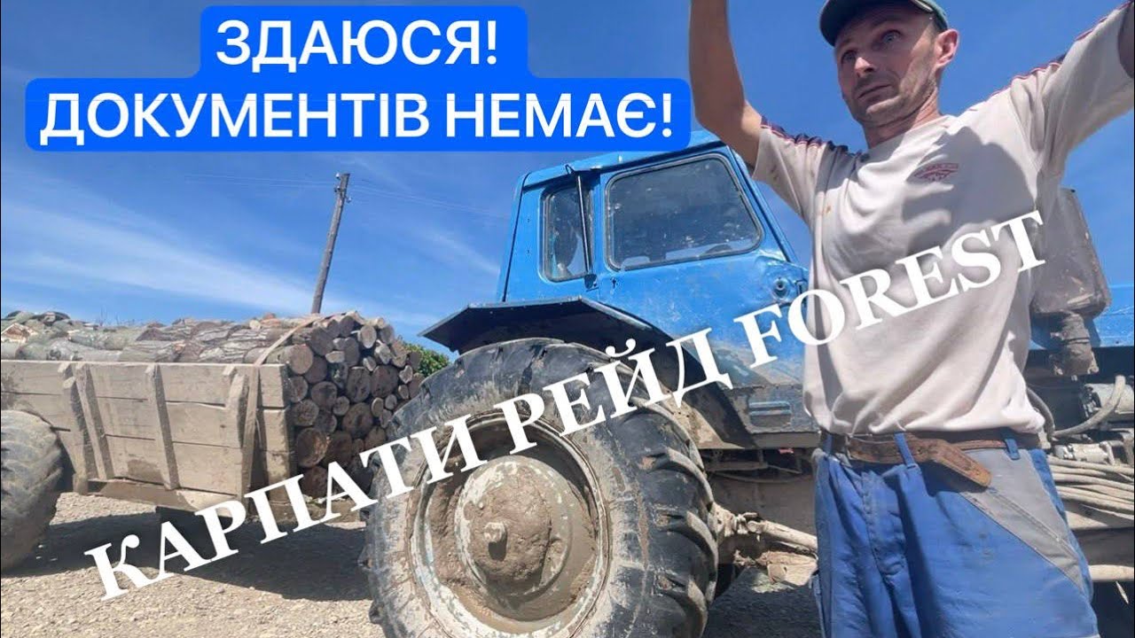 КАРПАТИ. Крадіжка ДРІВ ЛІСНИЧИМ ЛУКАСЕВИЧЕМ!