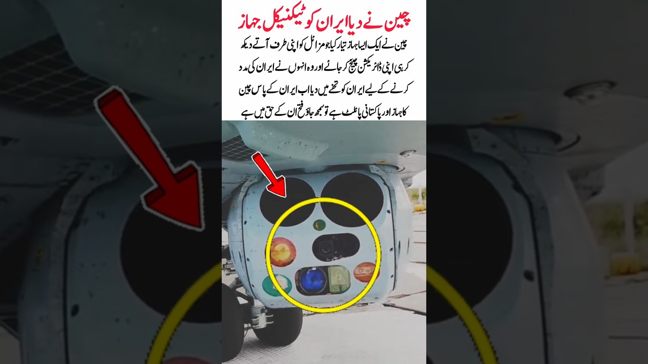 chini airplane Pakistani pilot