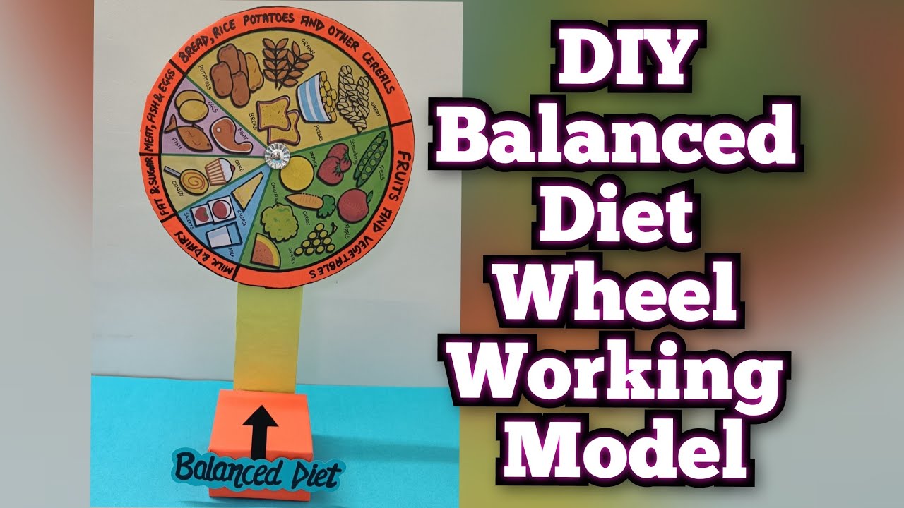 DIY Balanced Diet Wheel Working Model/ How to make Balanced Diet Model/Science Project