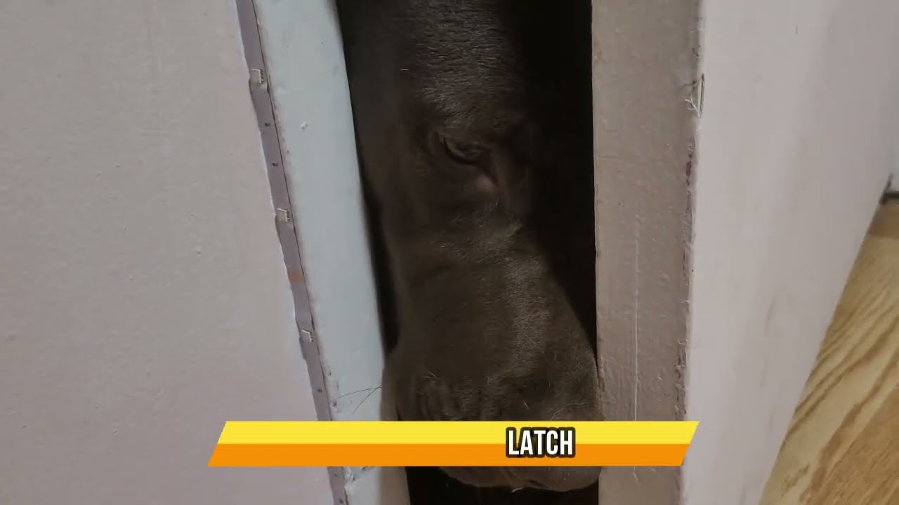 Pet Door Holder Latch