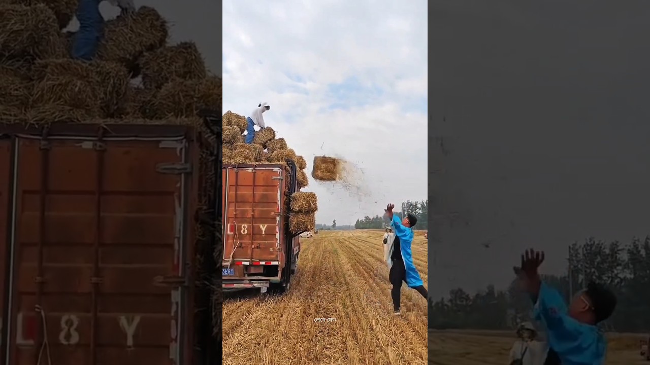 This Machine Stacks Hay Bales All by Itself 🤯 #ytshorts #facts