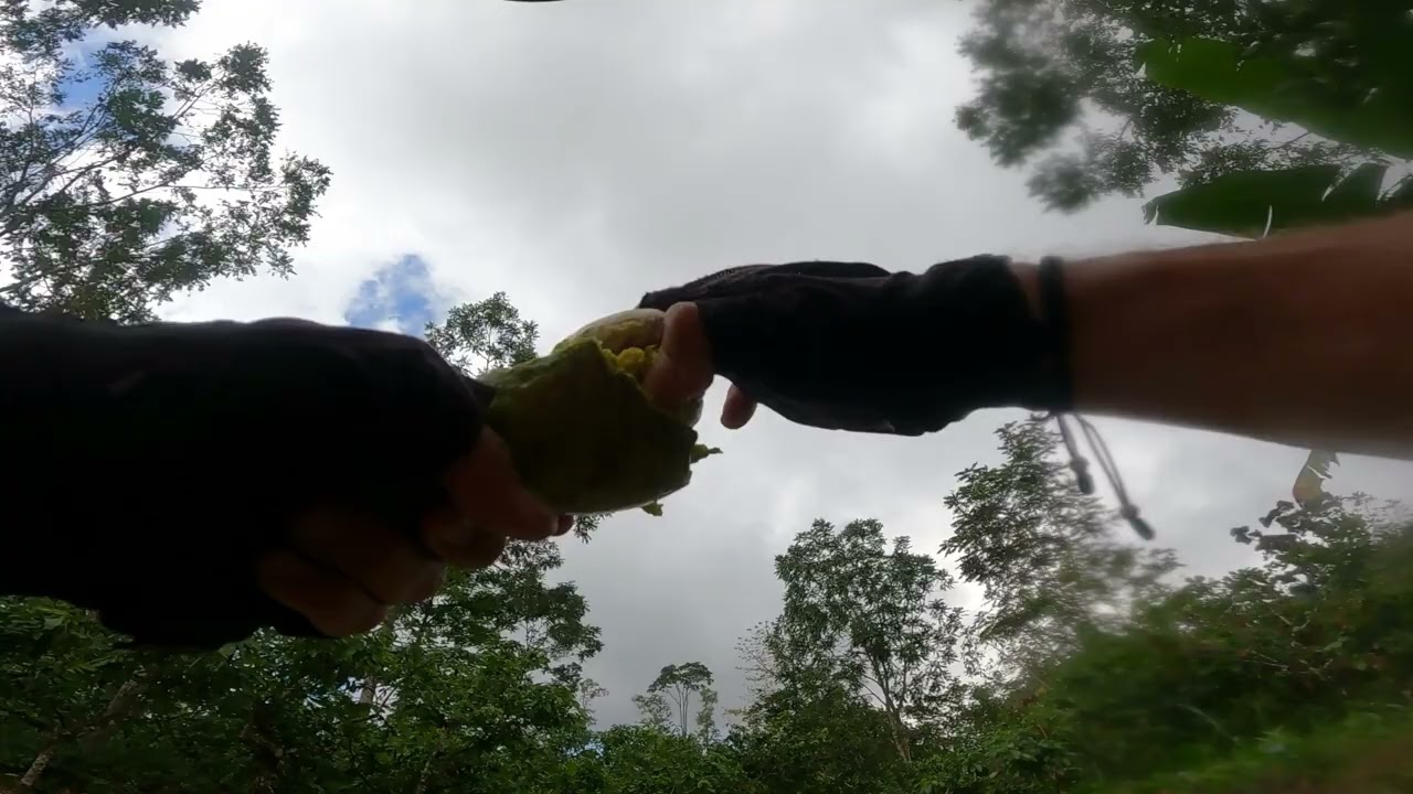 Ruta MTB por el Hojarasco al Carmen de Chucurí, el Toboso, Berlín y el Filón.