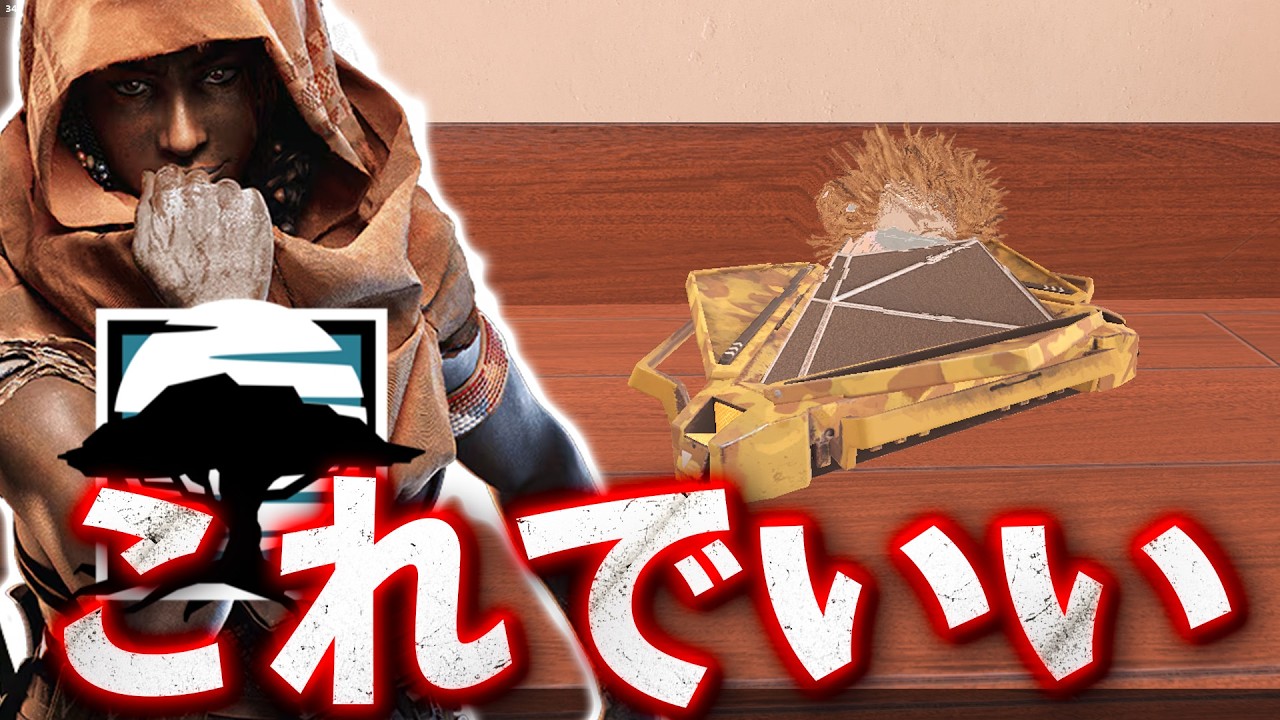 実はこれでいい メルシーの置き方 [R6S] シージX
