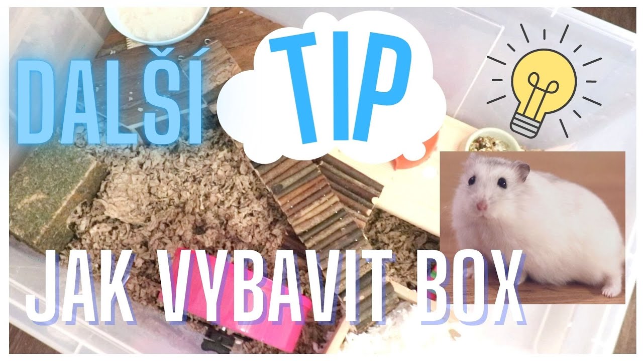 PŘEMĚNA Bohou&scaron;ova BOXU | Dal&scaron;&iacute; tip, jak uspoř&aacute;dat box