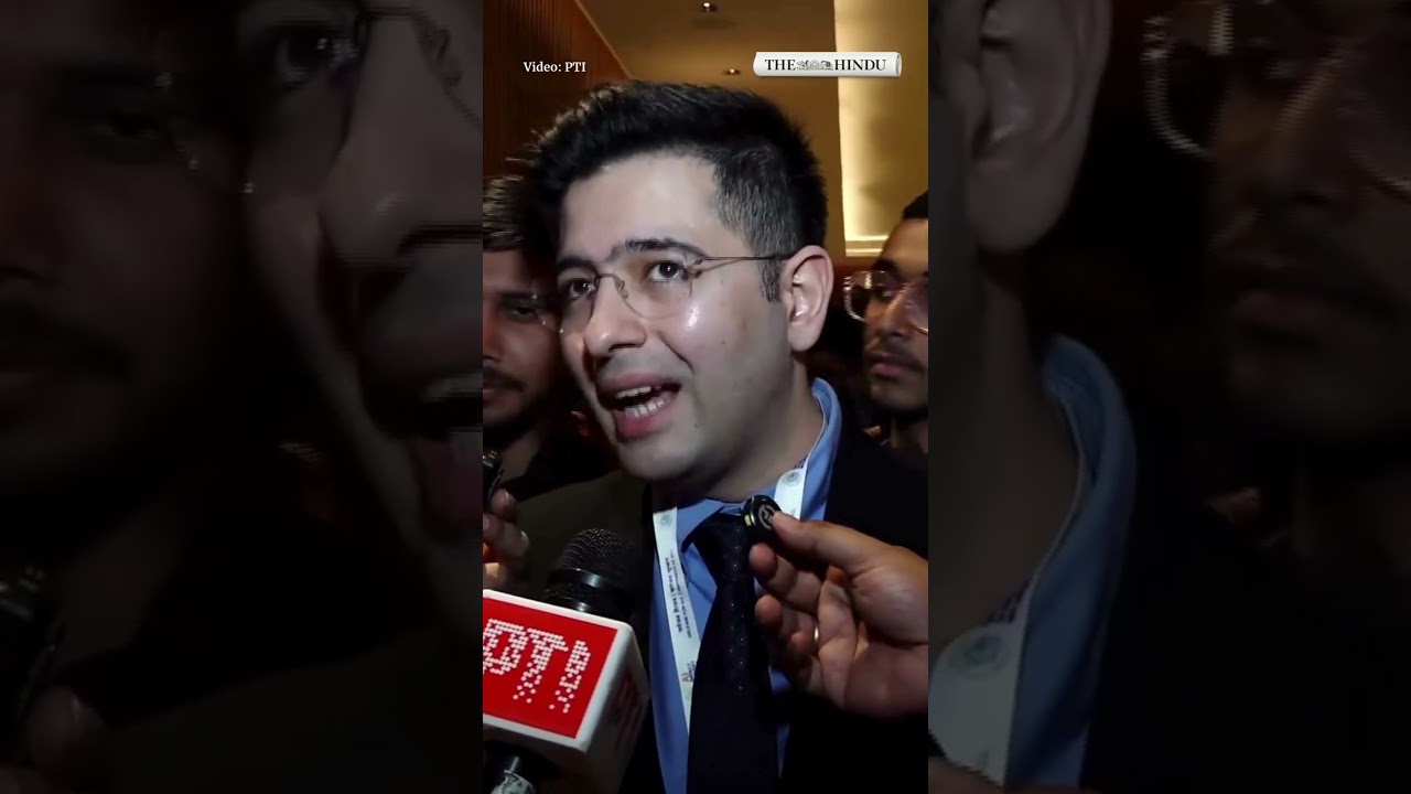 India must diversify AI access, says Raghav Chadha