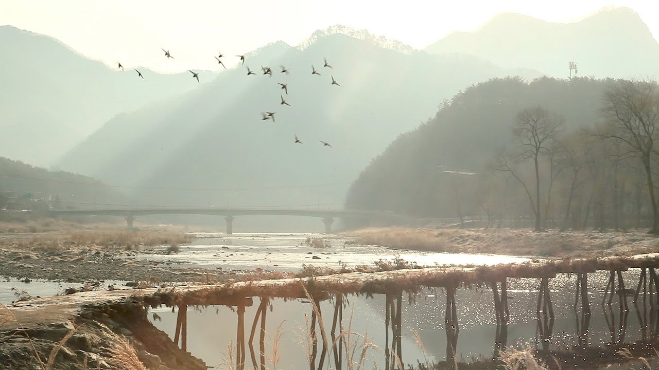 봄을 찾아 간 그곳에는 | 영월 섶다리 | 요선암 | 돌개구멍