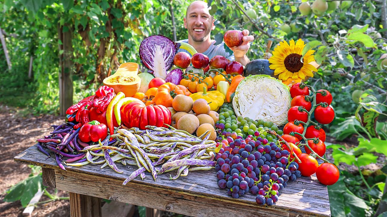 11-летний урожай из сада Food Forest! 🍎🍐🍇