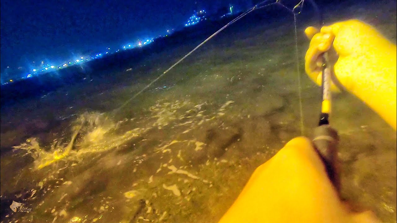 Umpan GACOR Mancing Ikan Besar Malam Hari