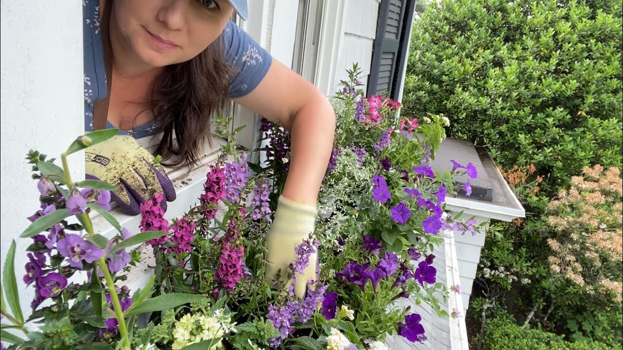🌸 Planting Michael's Windowbox - Lots of Plants 🌸