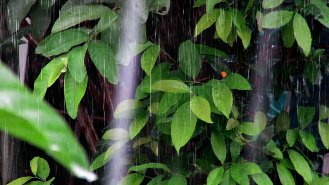 Raining Sound for Sleeping 🌧️ Continuous Rainfall Ambience for Deep Sleep and Relaxation