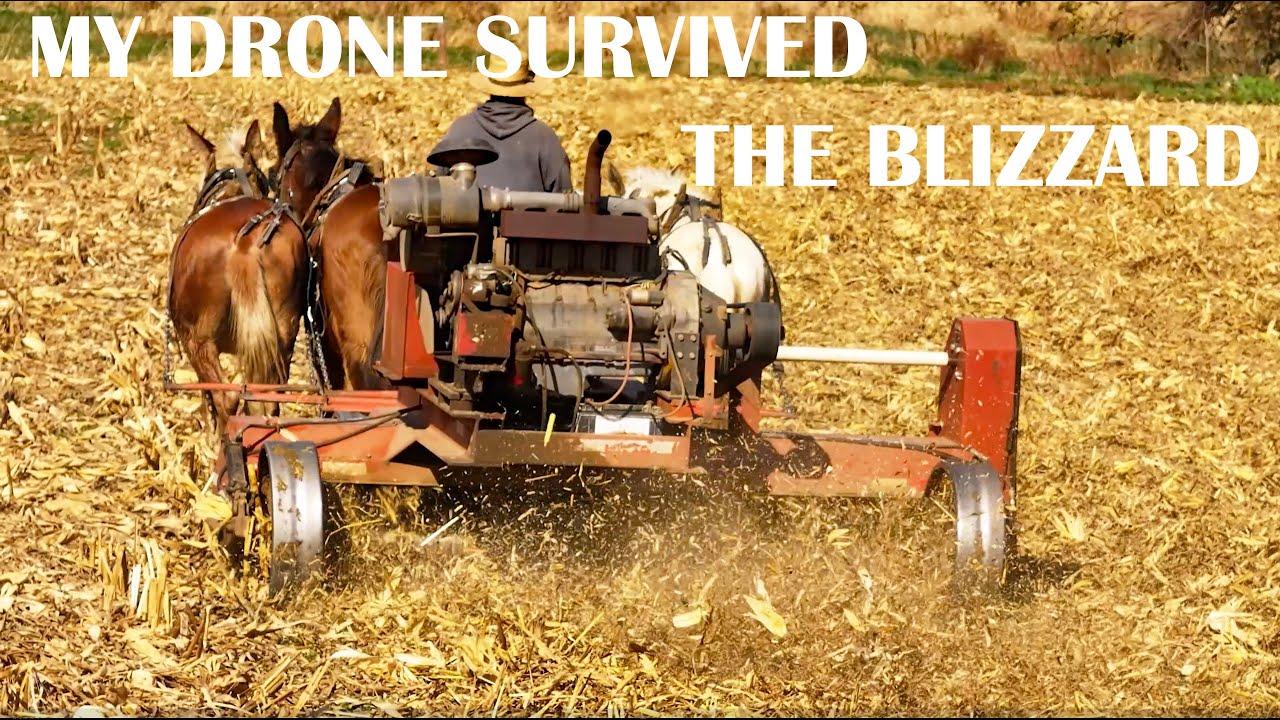 UP CLOSE while FLAIL MOWING Corn Stalks with the OLD ORDER AMISH in Lancaster County, Pennsylvania