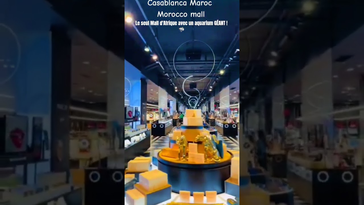 Plus grand qu'en Alg&eacute;rie et en Tunisie ? Le record du Morocco Mall 🇲🇦200 000 m&sup2; champion du Maghreb🦈