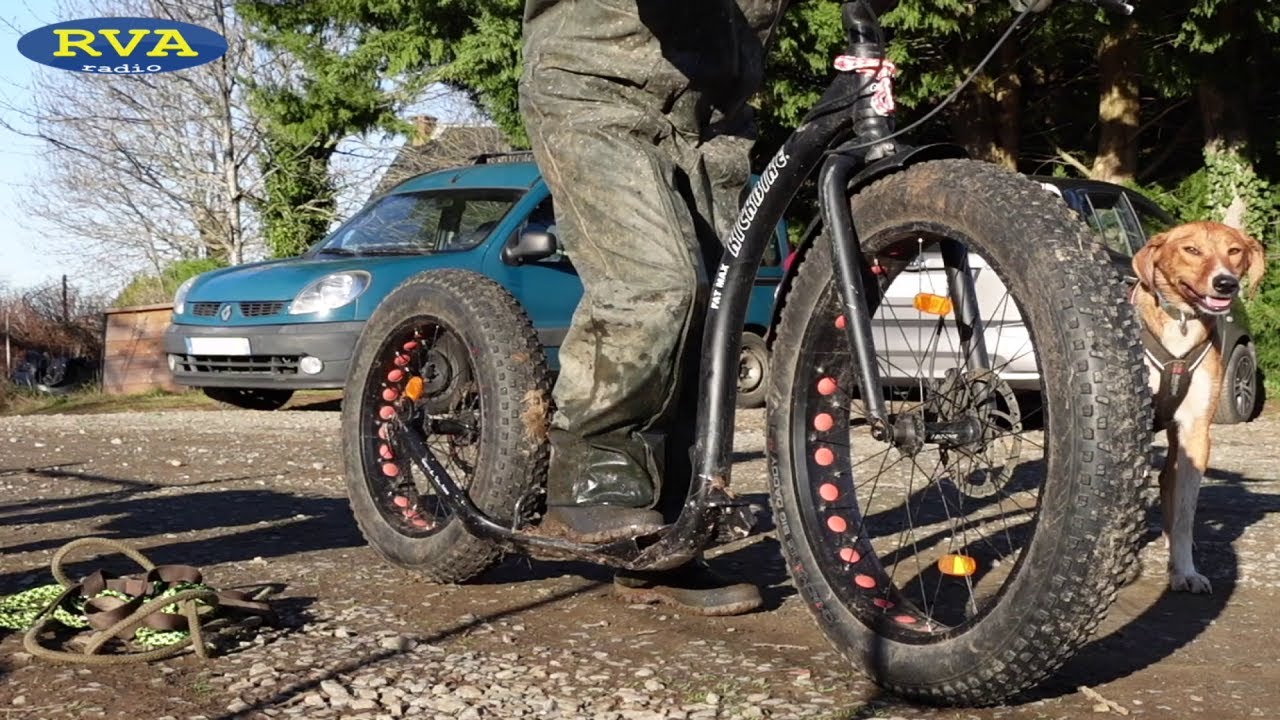ESCAPADES EN AUVERGNE - Le cani trottinette, un sport méconnu dans le Puy-de-Dôme