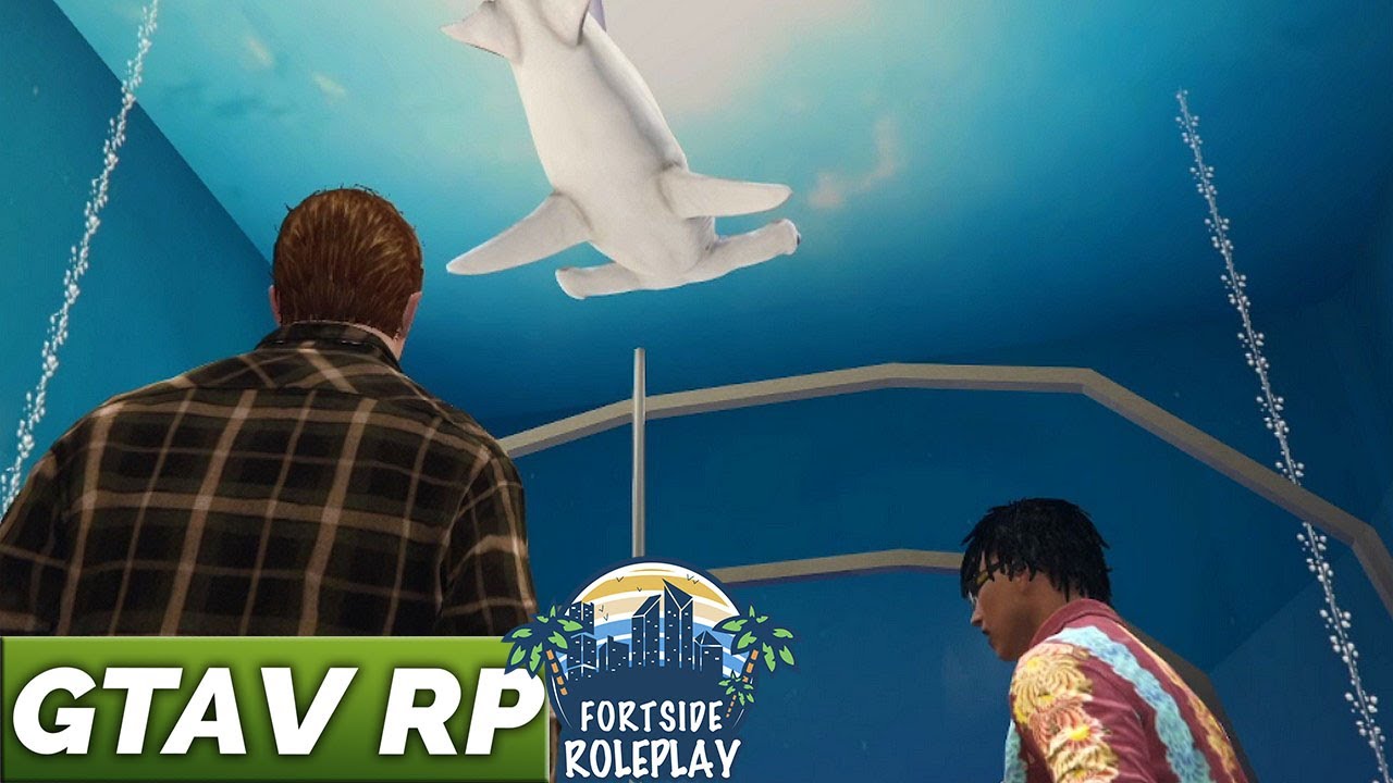 UN REQUIN AU BAHAMAS - GTA RP EP1 