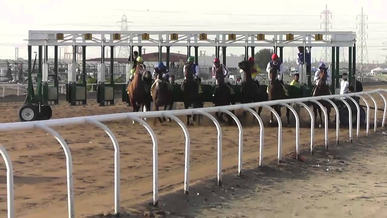 الأجتماع الخامس فروسية الفروانيه 2015 2016 الشوط الثاني   قتالي لاسطبل  الدابان