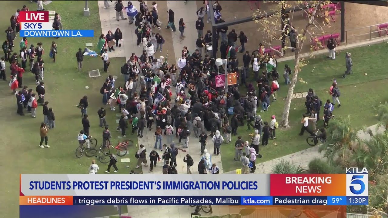 Violence breaks out at protest against Trump immigration policy